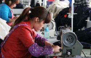 興趣驅動創業 四川小伙如何成功創辦服裝廠并立足零售市場